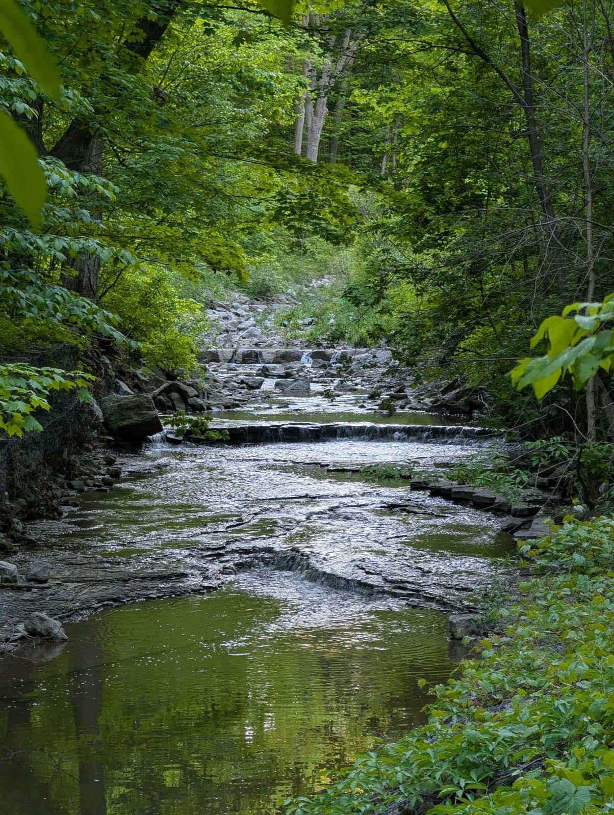 A ravine trail in Toronto's Don Valley